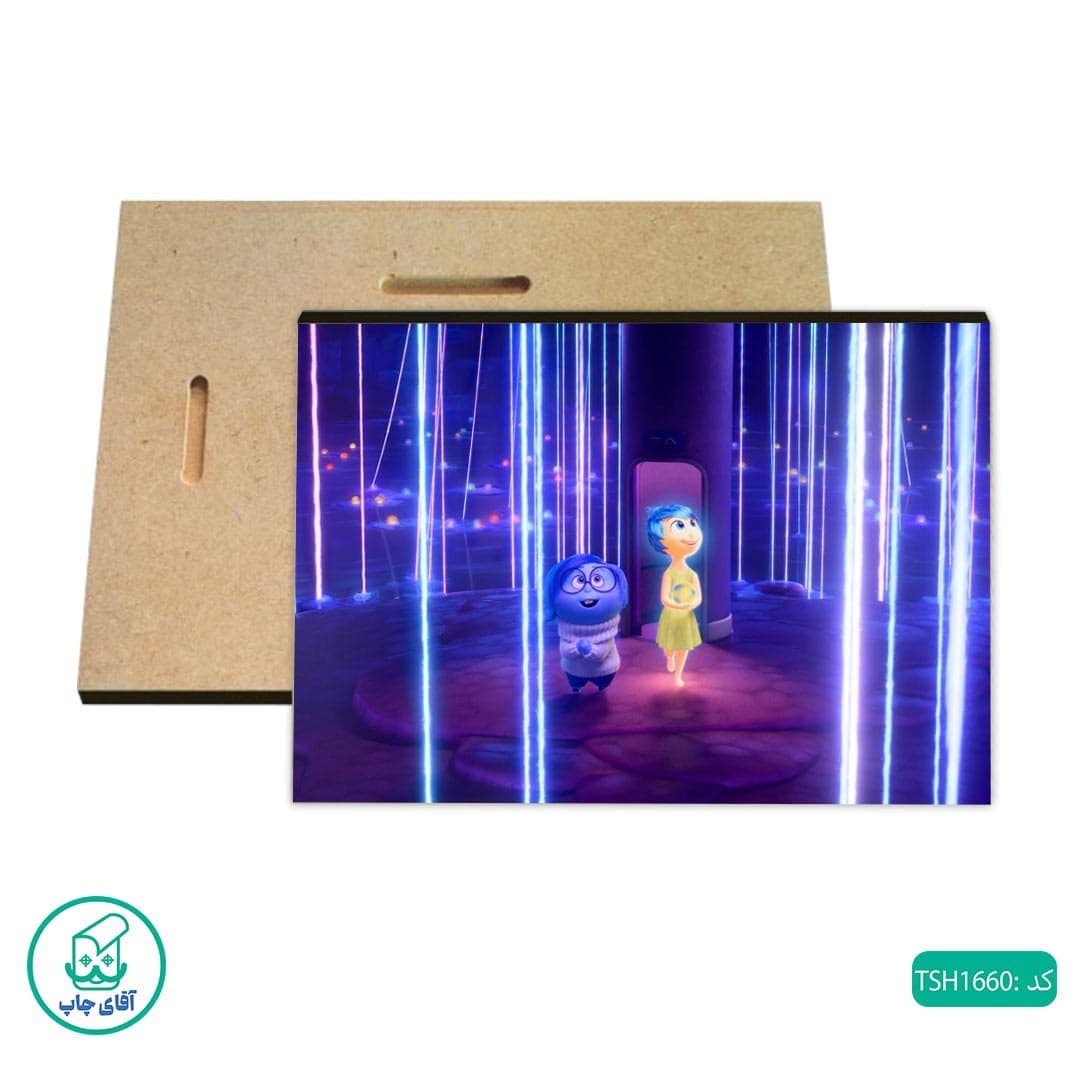 شاسی عکس انیمیشن درون و بیرون کد TSH1660