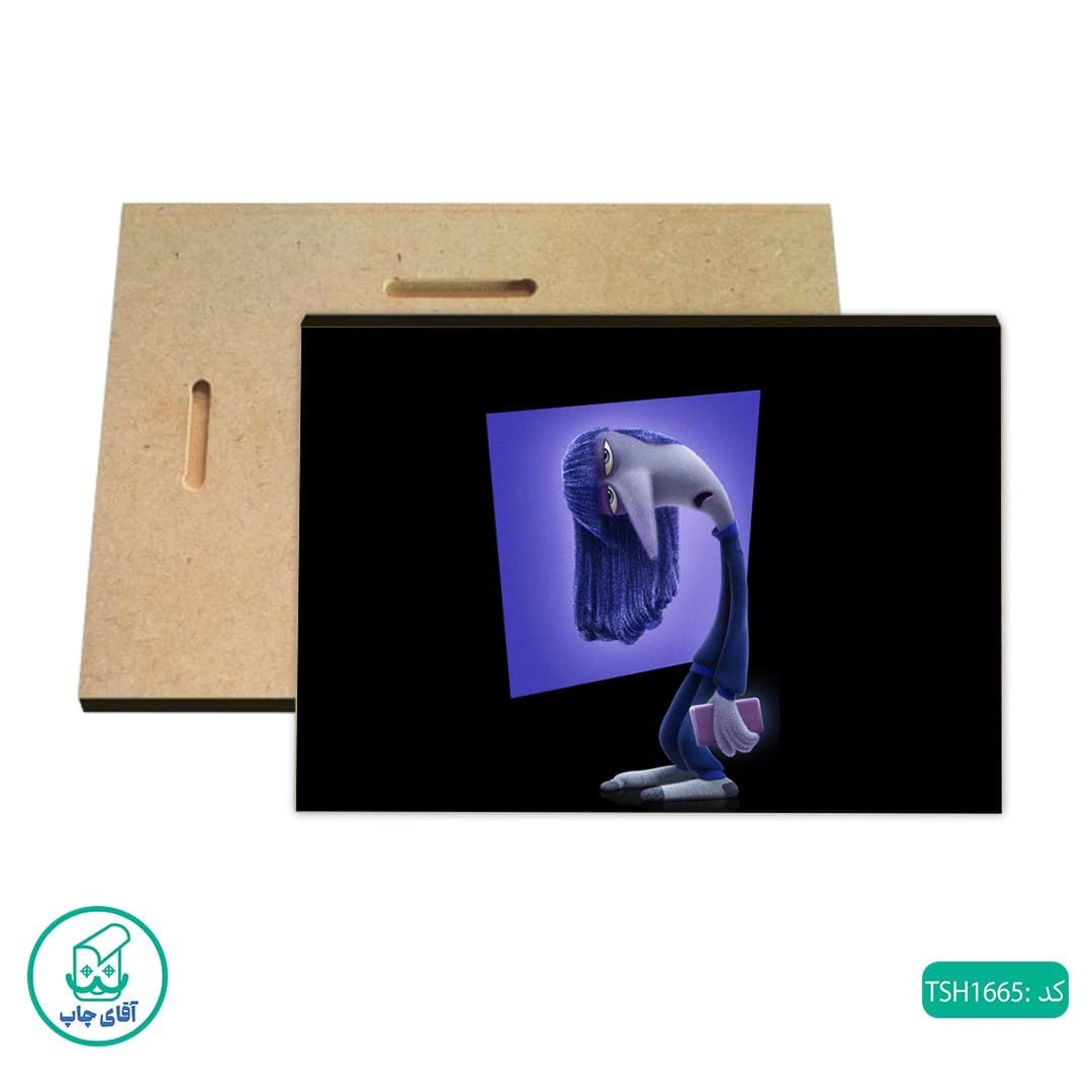 شاسی عکس انیمیشن درون و بیرون کد TSH1665