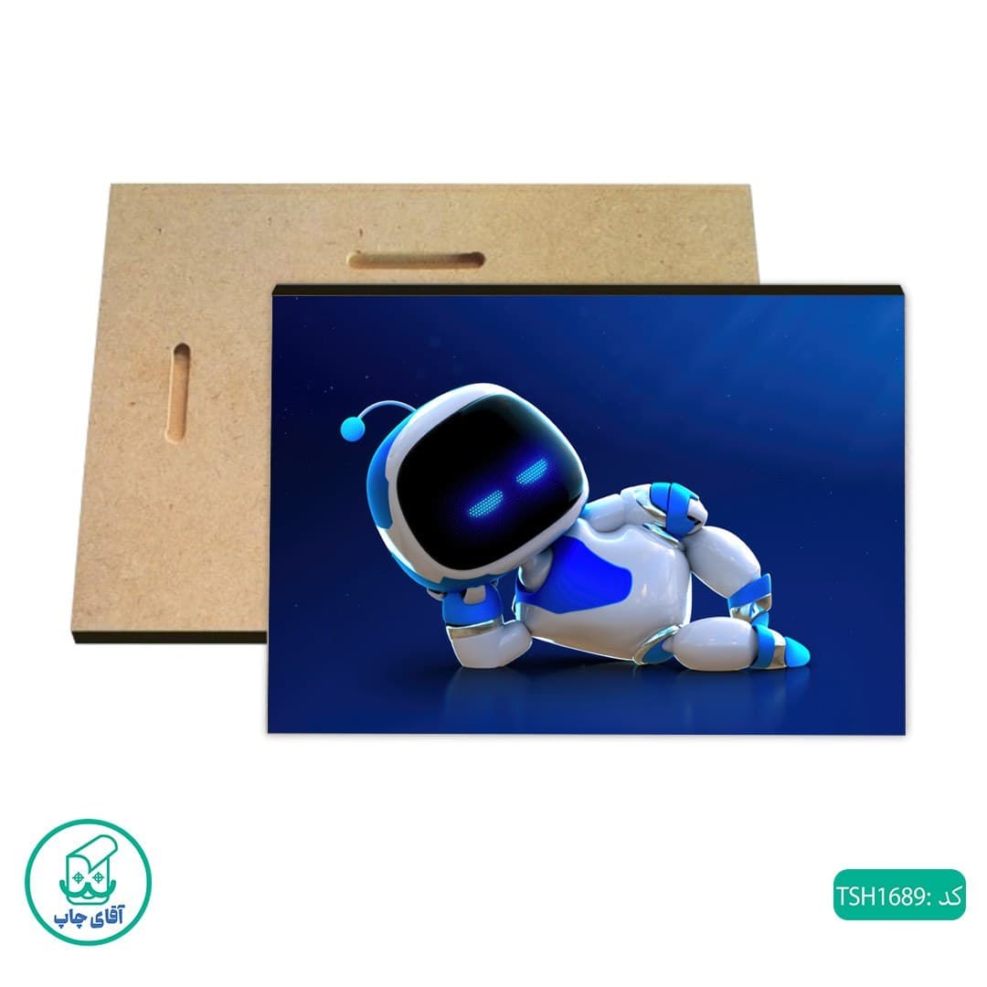شاسی عکس بازی Astro Bot کد TSH1689