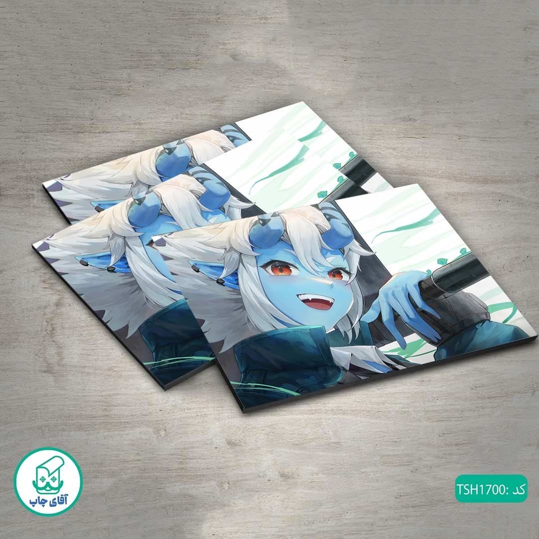 شاسی عکس بازی Zenless Zone Zero کد TSH1700 — تصویر ۳