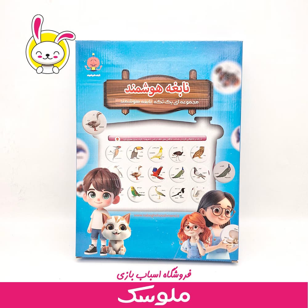 اسباب بازی آموزشی هوش چین یک تکه
