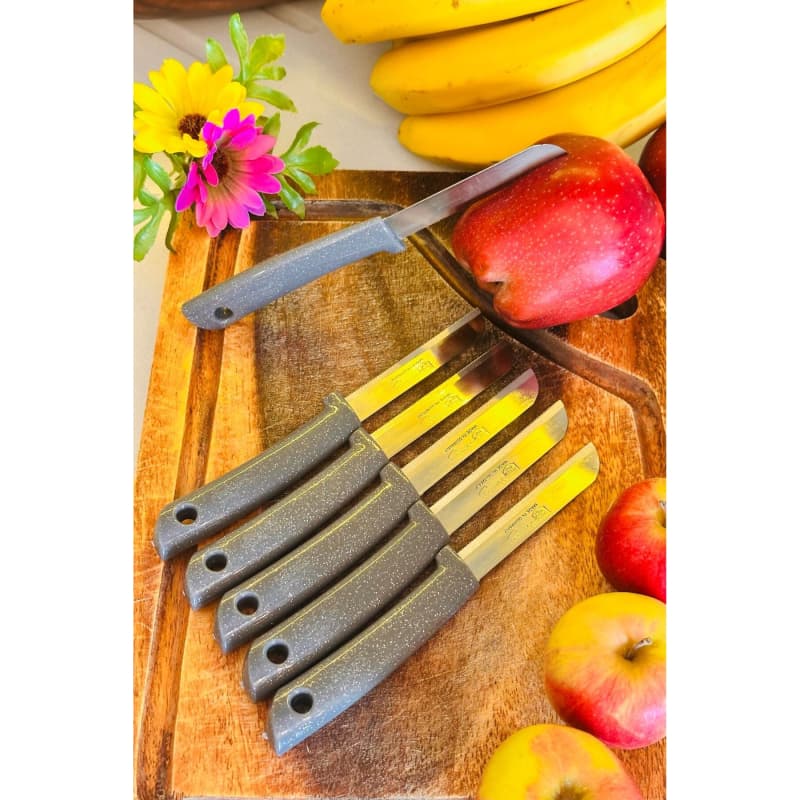 شش عدد چاقوی دندانه دار اصل سولینگن برای میوه و سبزیجات | تیغه فولادی ضدزنگ | دسته پلاستیکی با کیفیت | مجموعه 6 عددی | مناسب برش انواع میوه و سبزی | طراحی ارگونومیک | ساخت آلمان — تصویر ۵