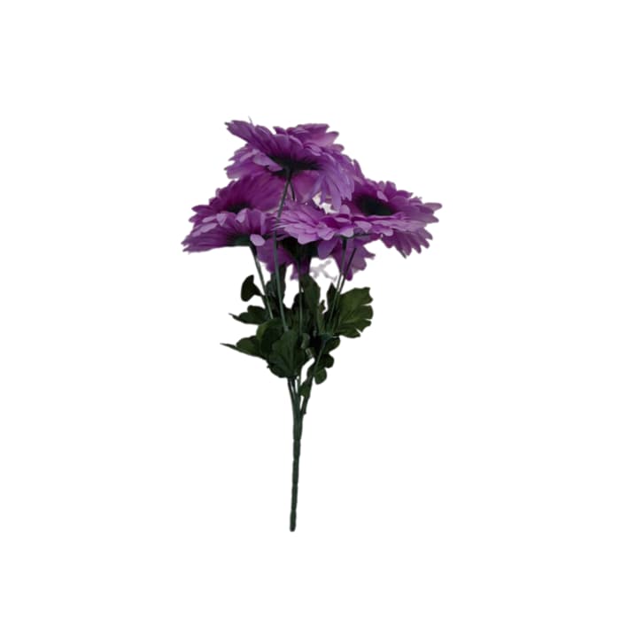 بوته ژربرا — تصویر ۴