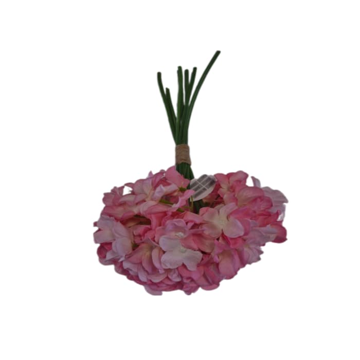 دسته هورتانسیا — تصویر ۵