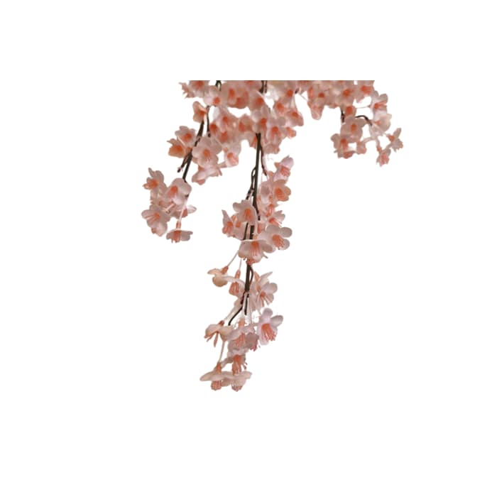 گل شکوفه ریز ژاپنی — تصویر ۳