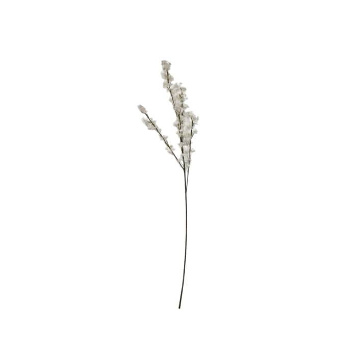 گل شکوفه ریز ژاپنی — تصویر ۵