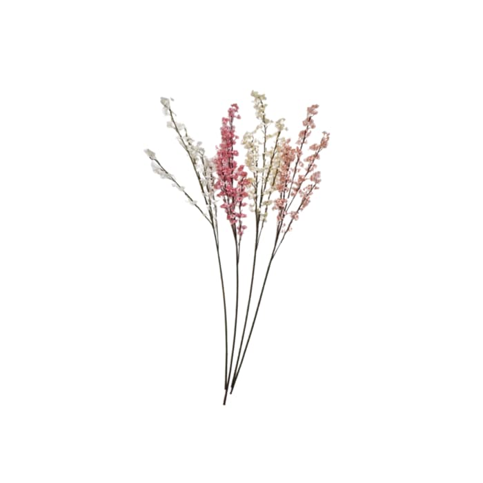 گل شکوفه ریز ژاپنی