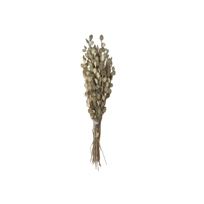 گل خشک مدل سکه ای – پولکی