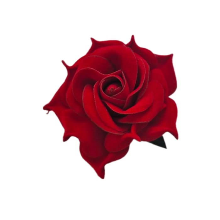 سرگل رز ریز مخمل — تصویر ۲