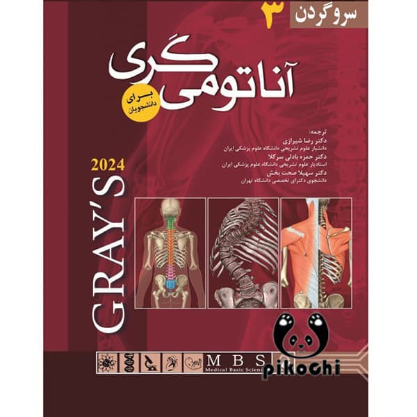آناتومی گری 2024 سروگردن شومیز
