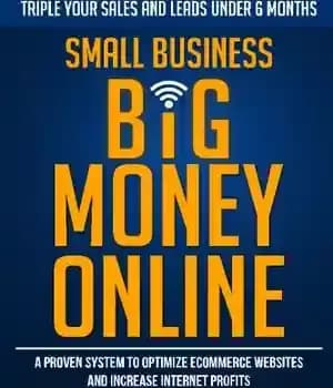دانلود کتاب Small Business Big Money Online: A Proven System to Optimize eCommerce Websites and Increase Internet Profits – کسب… — تصویر ۲