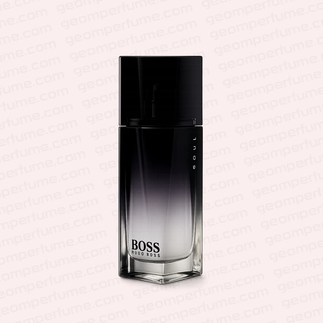 عطر ادکلن هوگو بوس سول-Hugo Boss Soul