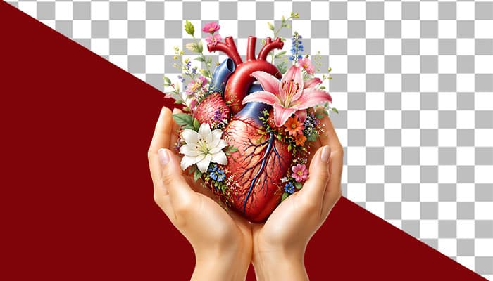 تصویر PNG دست انسان با قلب با مفهوم اهدای عضو