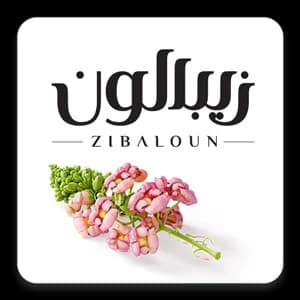 پودر پرپشت کننده مو تاپیک (Olivse) بسته 50 گرمی — تصویر ۲