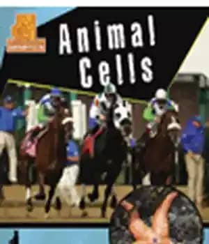 دانلود کتاب Animal Cells – سلول های حیوانی