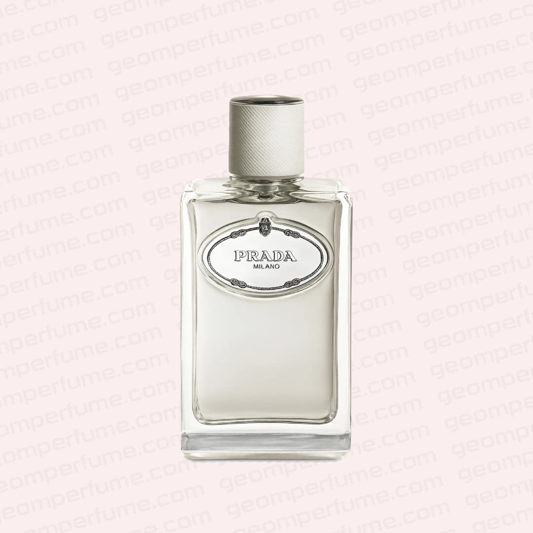 عطر ادکلن پرادا اینفیوژن دهوم | prada Infusion d`Homme