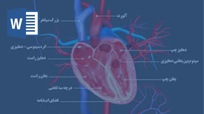 و دانلود تحقیق آناتومی قلب