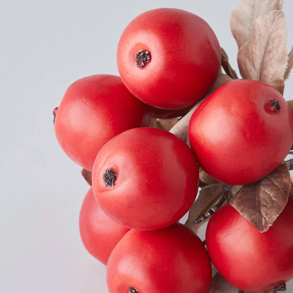 گل مصنوعی تک شاخه سیب خرچنگی قرمز انگلیش هوم مدل Crabapple Branch — تصویر ۲