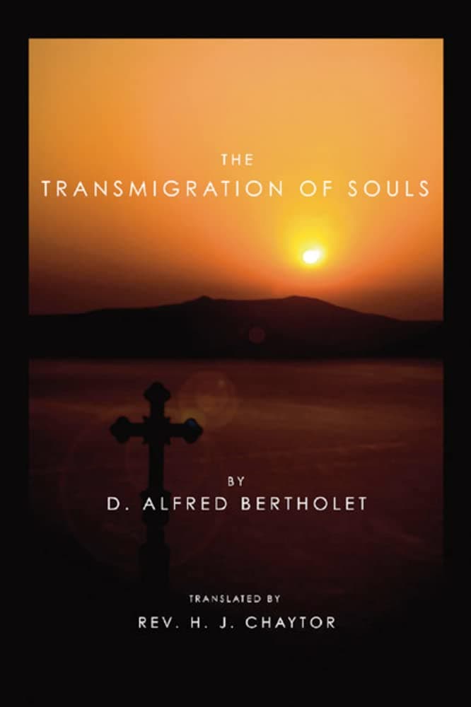 کتاب The Transmigration of Souls (تناسخ ارواح) نسخه انگلیسی PDF