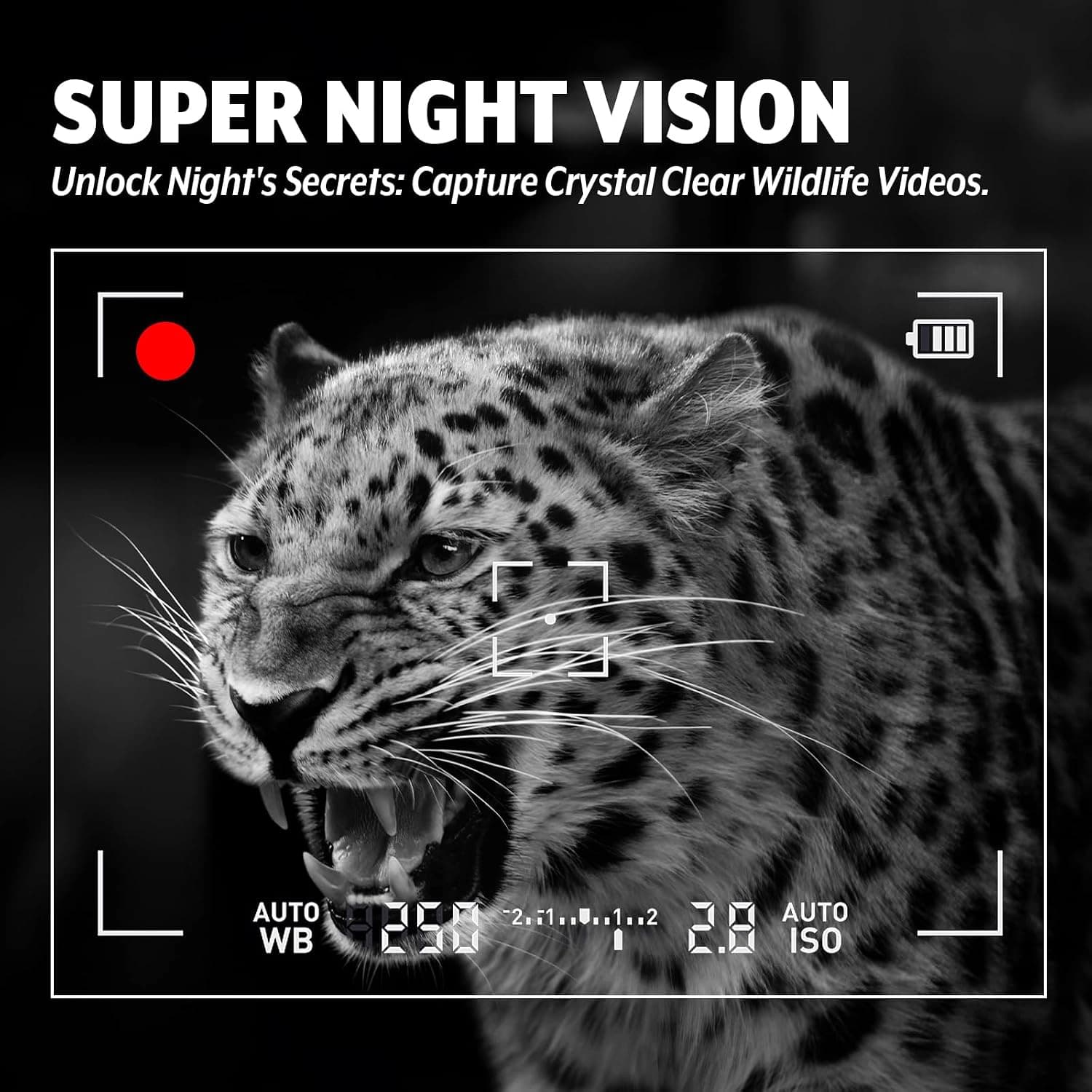دوربین تله و شکار Hapimp مدل PH770-8D فیلمبرداری4K عکاسی 32MP HD ضد آب IP66 با لنز دوگانه — تصویر ۴