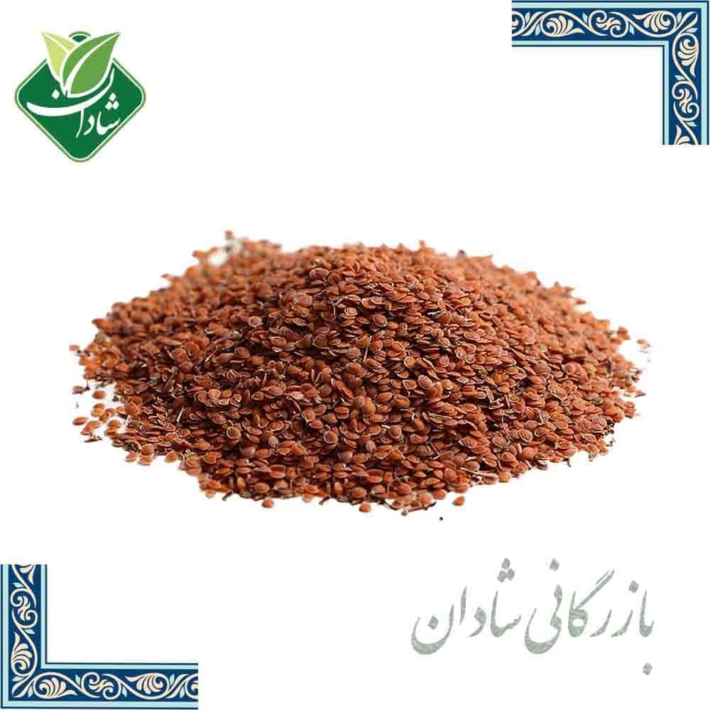 قدومه شهری 100 گرمی