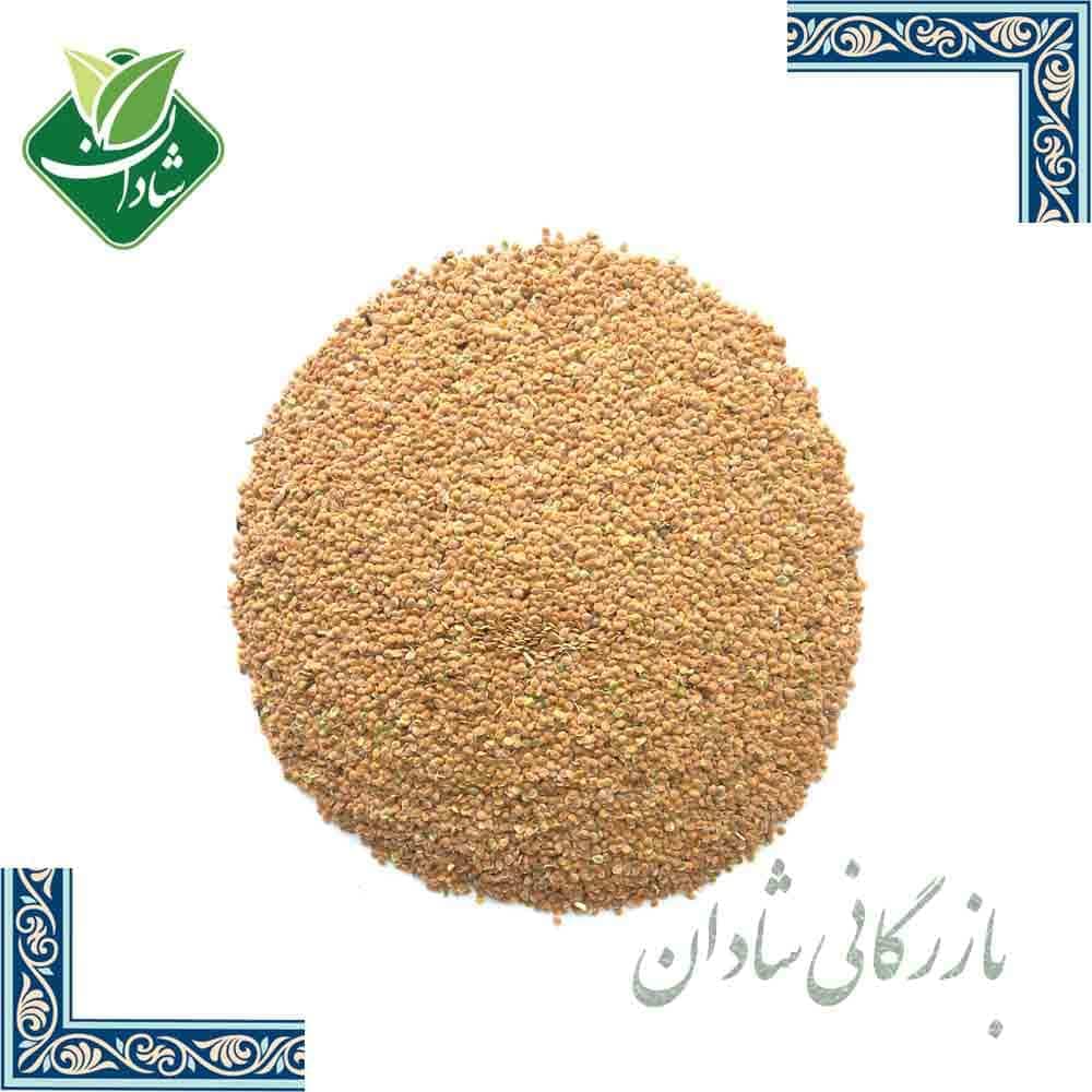 قدومه شیرازی 100 گرمی