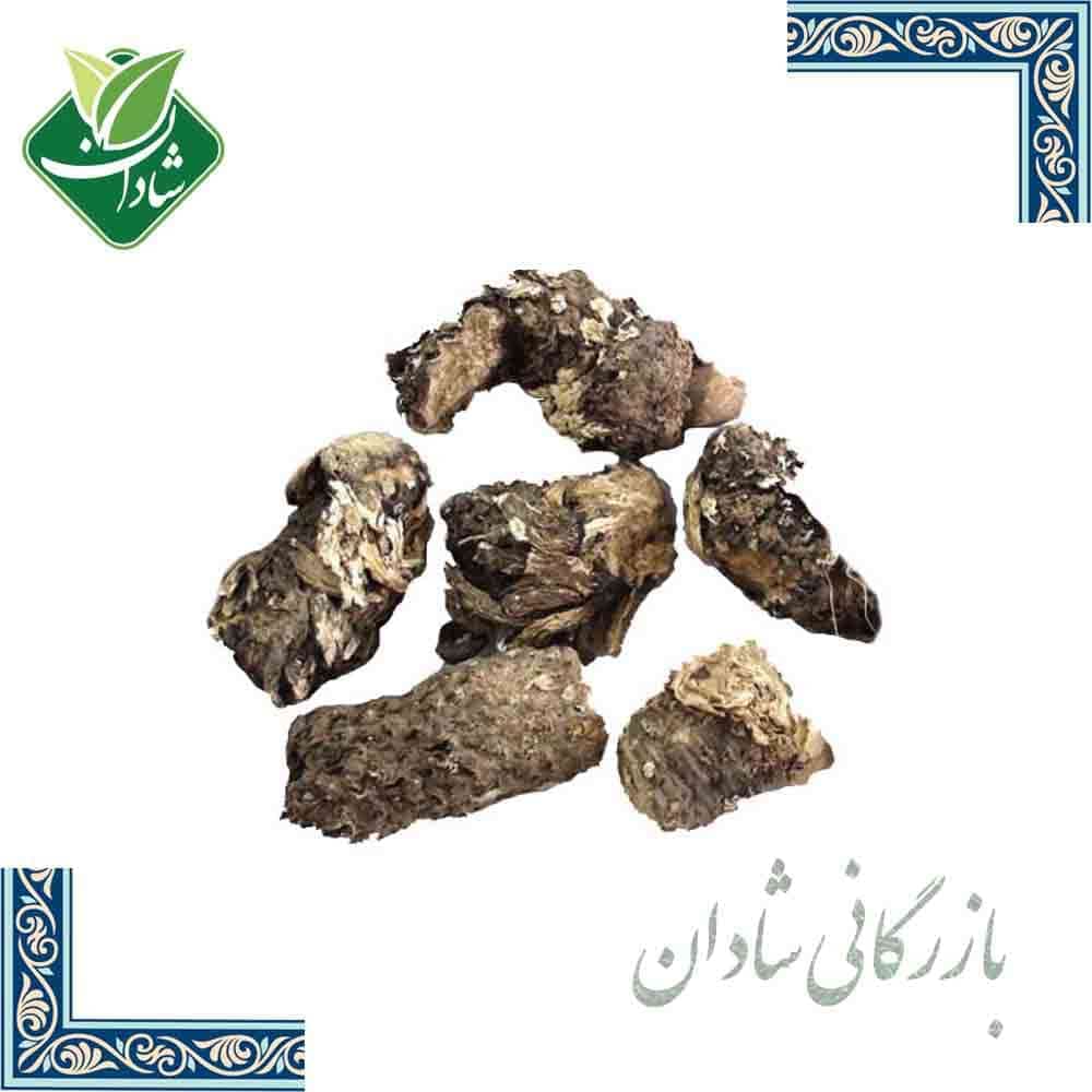 ریشه کندش 5 گرم