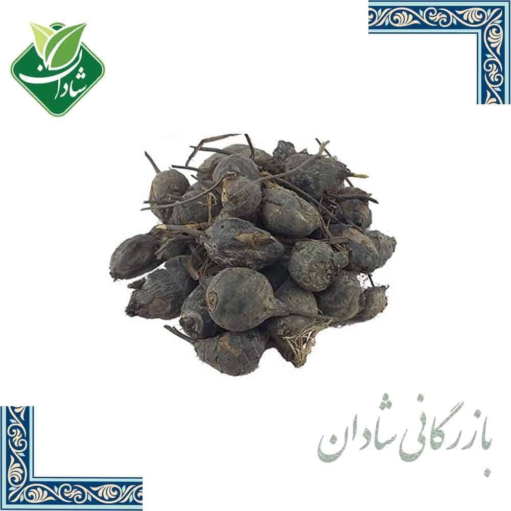 سعد کوفی 100 گرمی