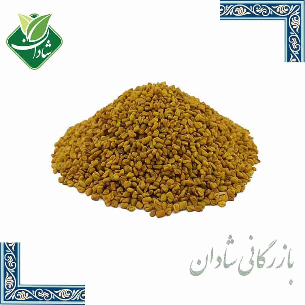 بذر شنبلیله 100 گرمی — تصویر ۲