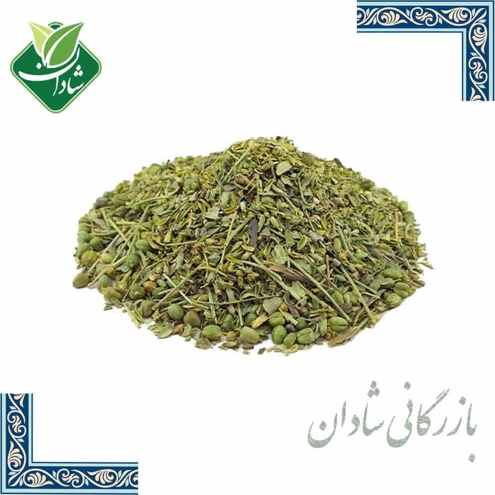 برگ سداب 100 گرمی