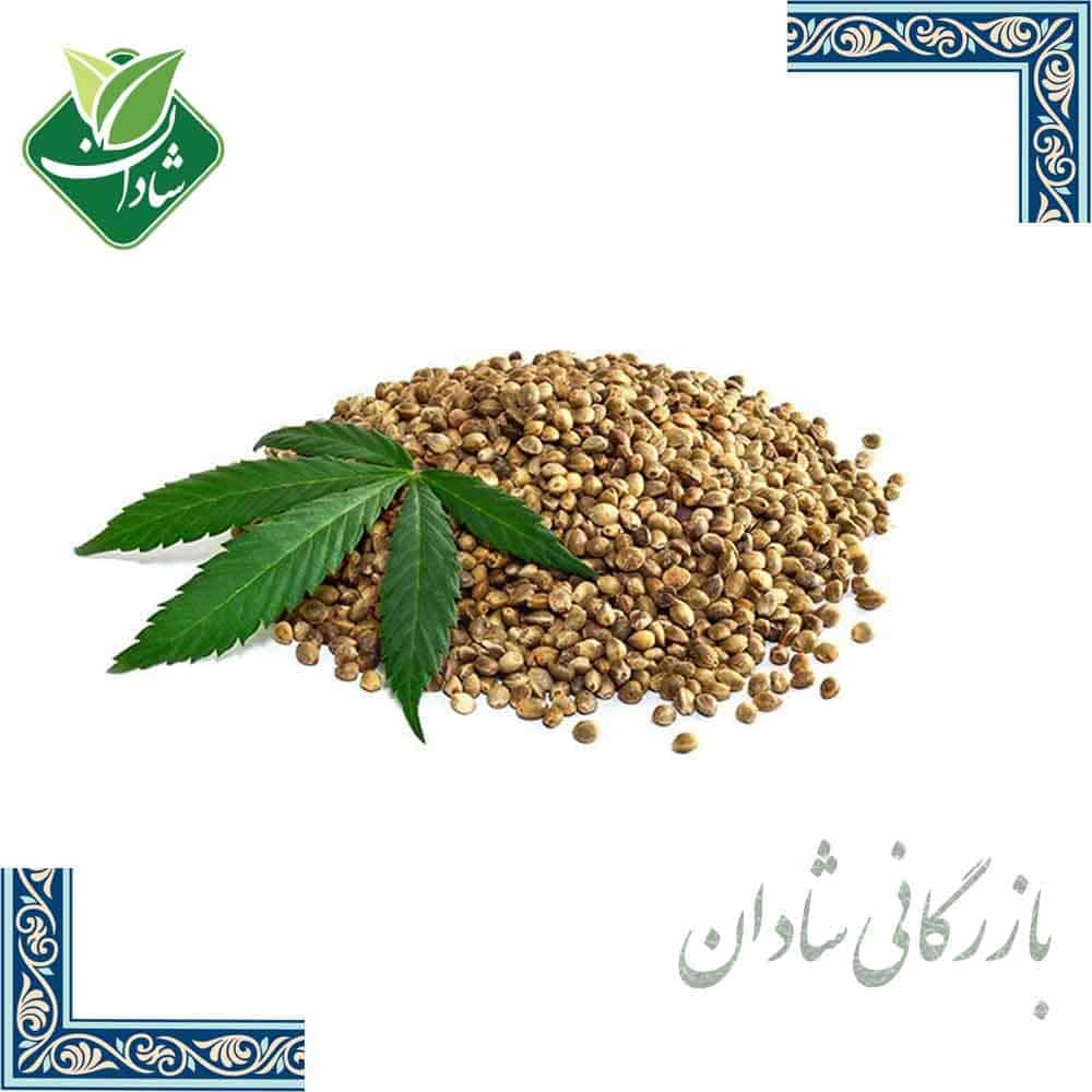 شاهدانه 100 گرمی