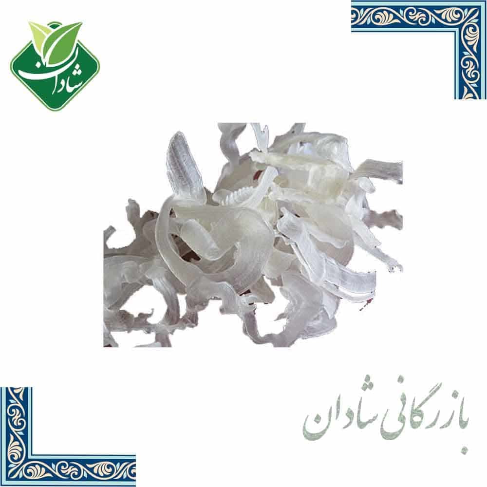 کتیرا صدفی 10 گرمی — تصویر ۲