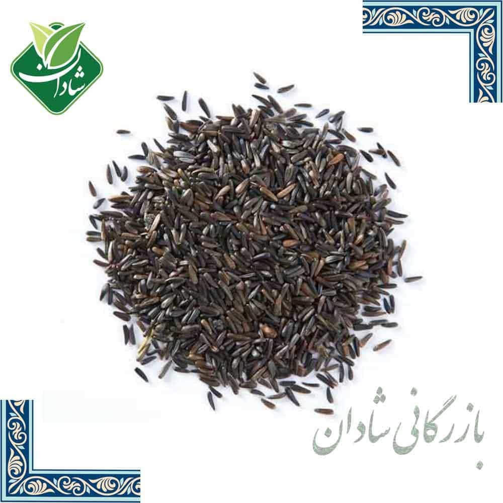 بالنگو 100 گرمی