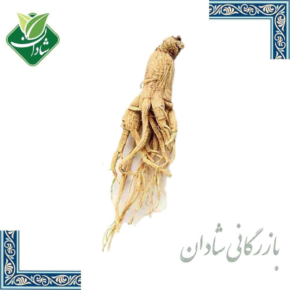 جنسینگ سفید 50 گرم