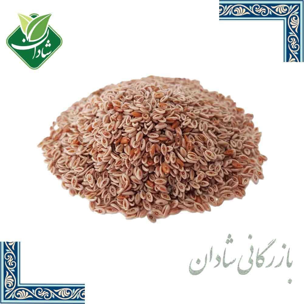 اسفرزه 100 گرمی