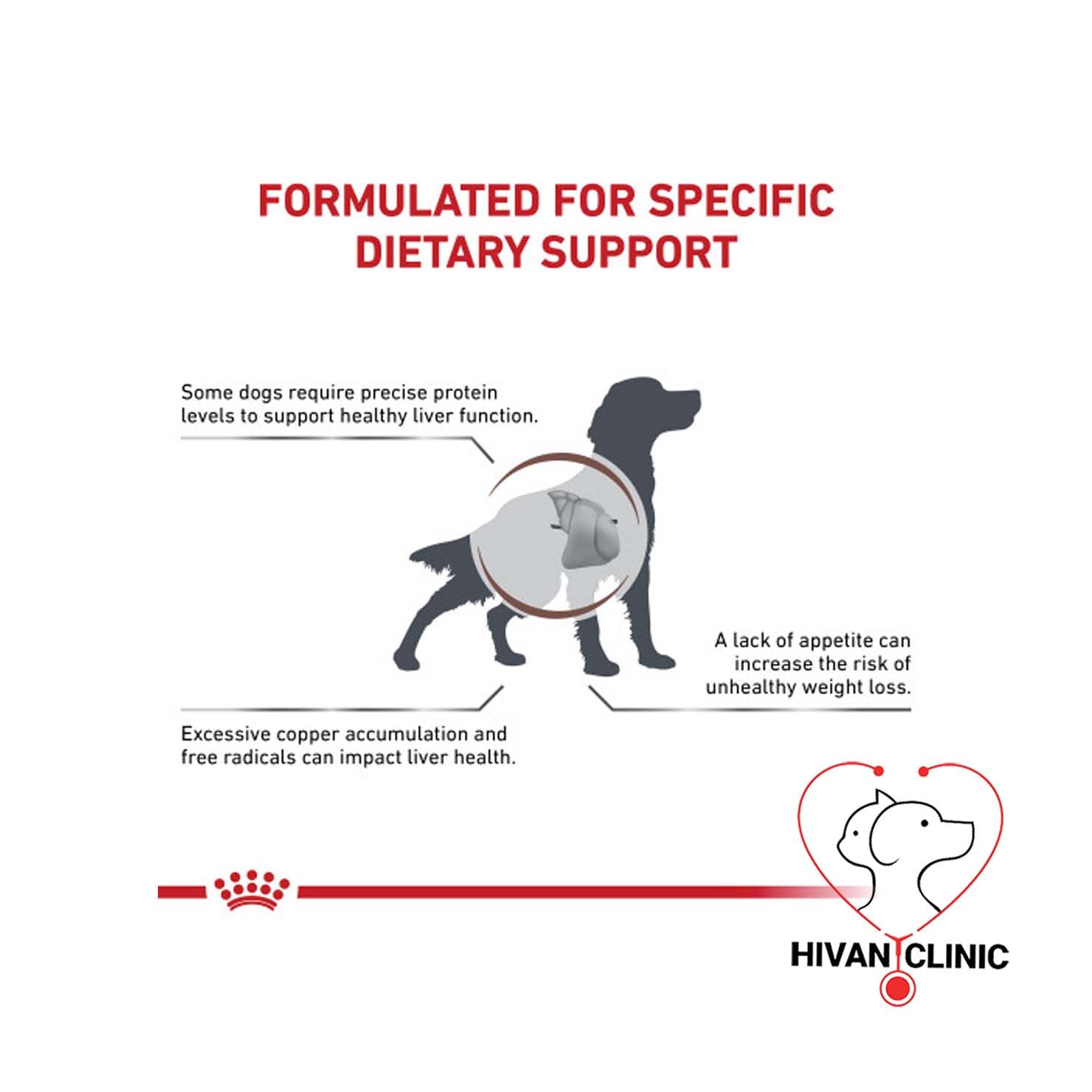 غذای سگ hepatic royal canin — تصویر ۲