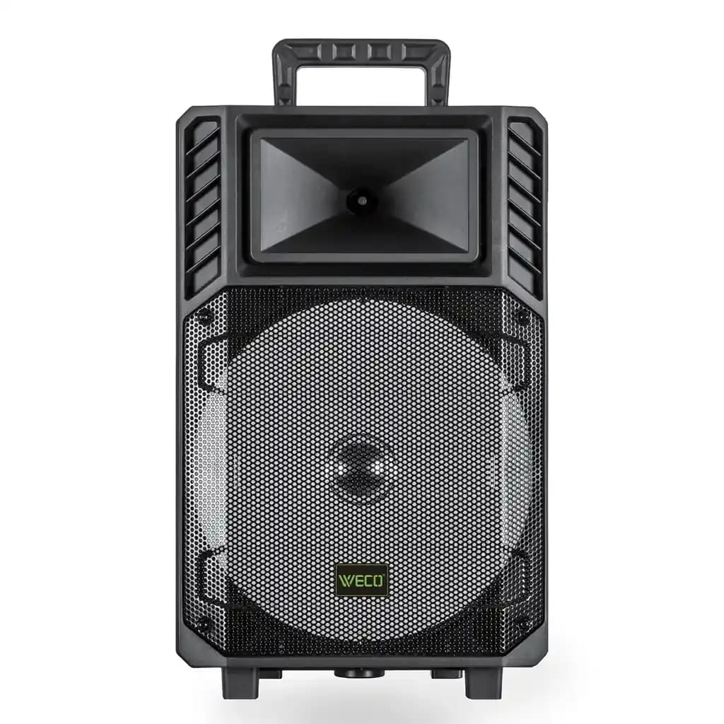 اسپیکر ویکو WeS-100 Singel 12 inch گارانتی 12 ماهه