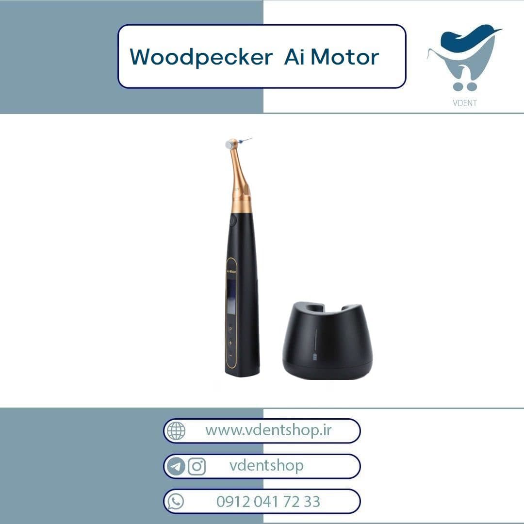 اپکس روتاری Woodpecker Dte مدل Ai Motor — تصویر ۷