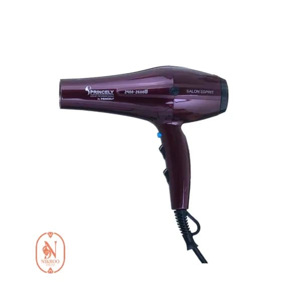 سشوار حرفه‌ای 2400 وات پرینسلی مدل PR250AT — تصویر ۴