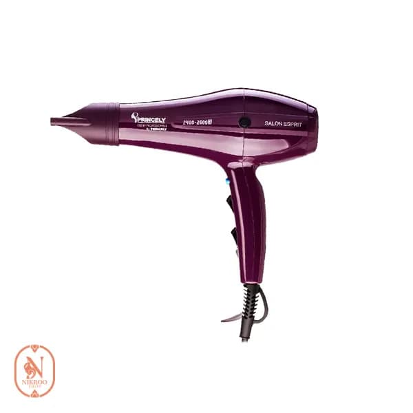 سشوار حرفه‌ای 2400 وات پرینسلی مدل PR250AT
