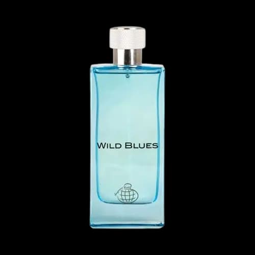 عطر و ادکلن اجمل بلو (وایلد بلوز) فراگرنس ورد ادو پرفیوم 115 میلی لیتر شرکتی | Fragrance World Wild Blues 115ml EDP — تصویر ۲