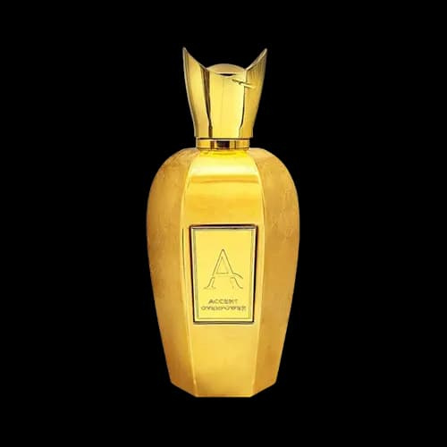 عطر و ادکلن زرجوف اکسنتو اوردوز (اکسنت اورپاور) فراگرنس ورد ادو پرفیوم 100 میلی لیتر شرکتی | Fragrance World Accent Overpower 100ml EDP — تصویر ۲