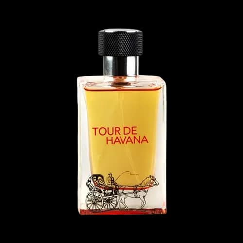 عطر و ادکلن فراگرنس ورد تق هرمس (تور د هاوانا) ادو پرفیوم 100 میلی لیتر شرکتی | Fragrance World Tour De Havana 100ml EDP — تصویر ۲