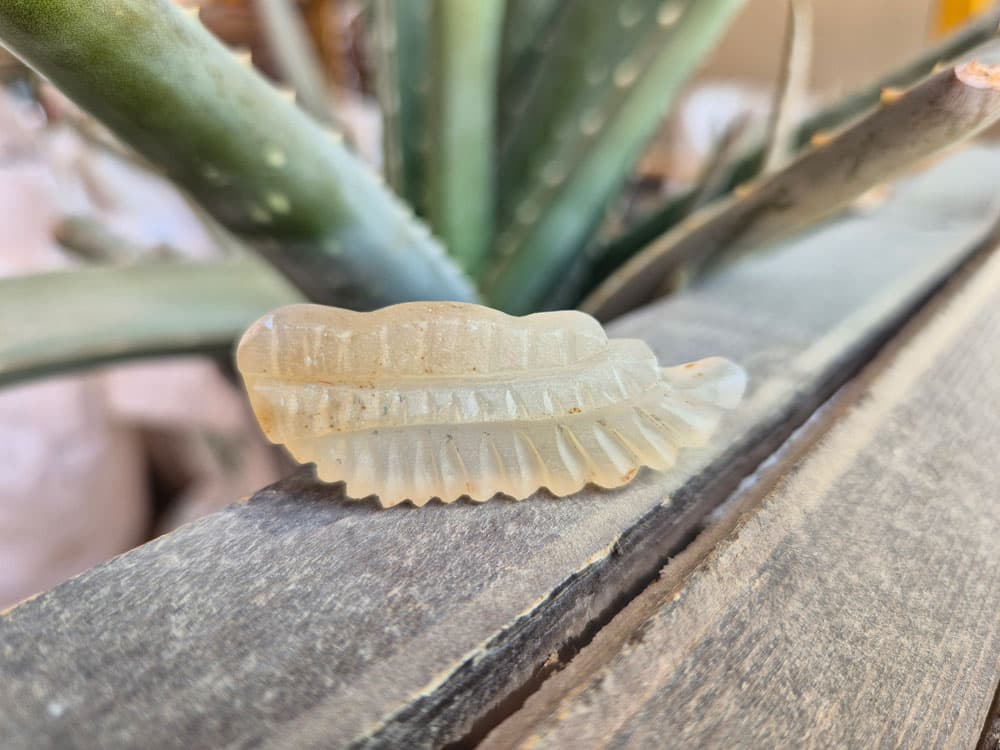 تراش سنگ عقیق | کاروینگ بال فرشته (Angel Wing) — تصویر ۲