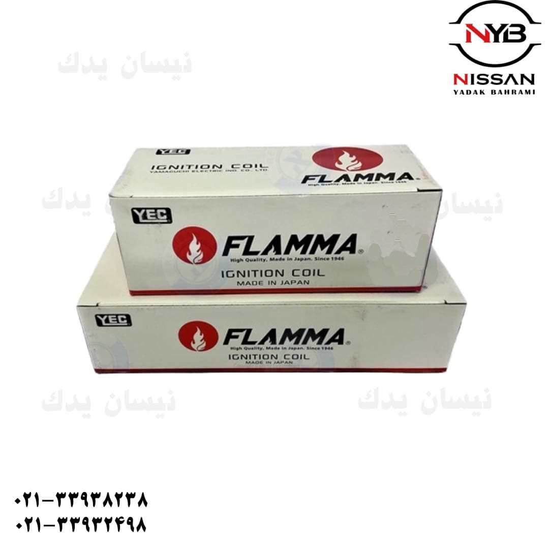 کوئل بزرگ و کوچک ماکسیما (ژاپن)