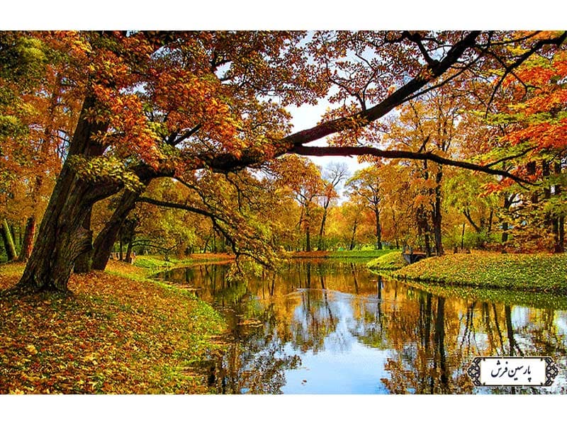 نخ و نقشه تابلو فرش منظره رویایی پاییزی – کد NV864