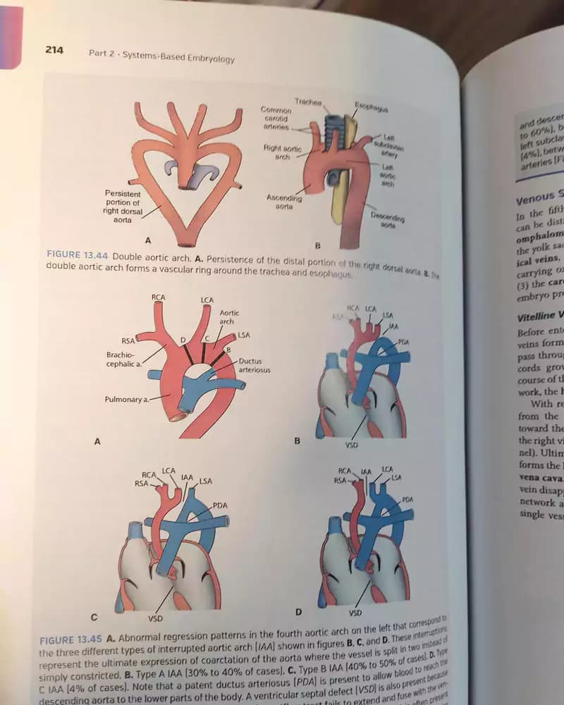 کتاب Langman’s Medical Embryology (رحلی هارد) — تصویر ۴