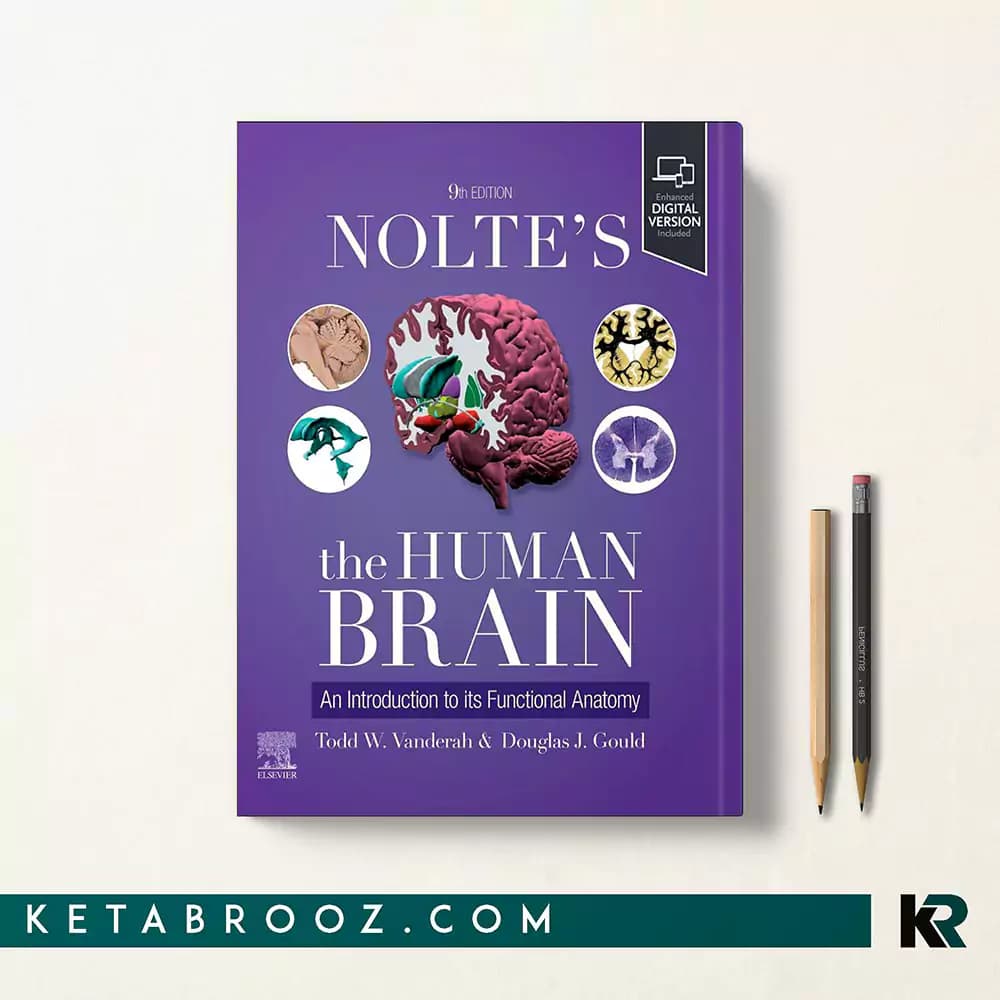 کتاب Nolte’s The Human Brain