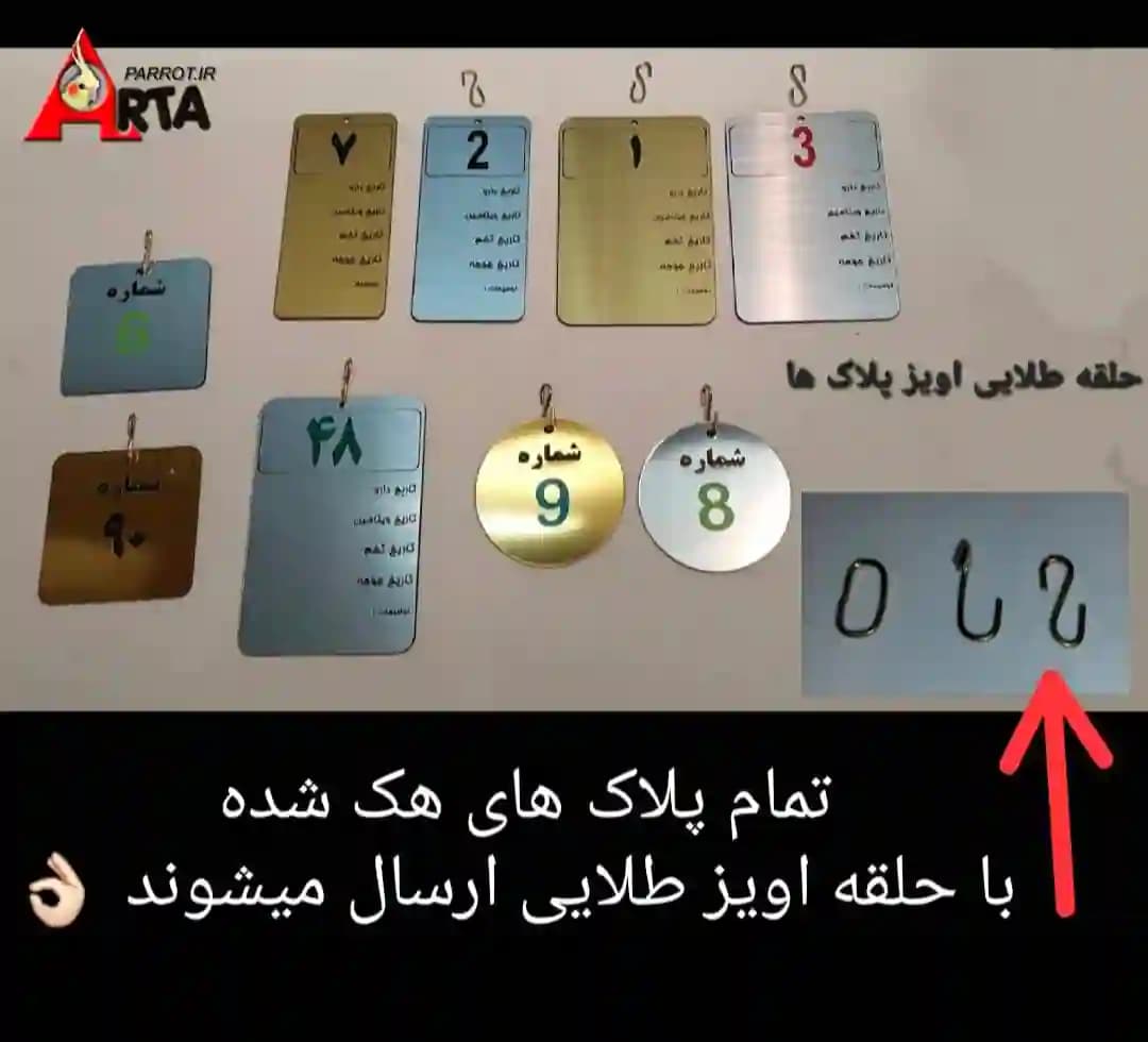 پلاک‌ قفس ، هک شده — تصویر ۶