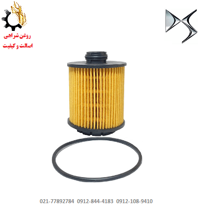 فیلتر روغن دی اس 6 DS اصلی